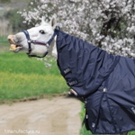  MIU Equestrian Sport Line Rain WW 0,   