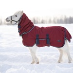 ������ ������ ����������� WINTER HOOD � ������� � ��������