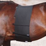 ���� �������� MIU Equestrian ELASTIC BAND WIDE