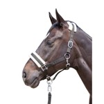 ��������� Bischofshofen � �����, pony