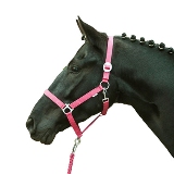 ��������� Stars Softice, pony